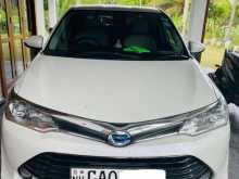 Toyota Axio G Grade 2015 Car