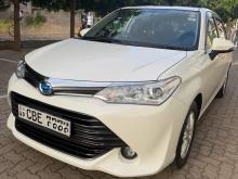 Toyota Axio G Grade 2016 Car