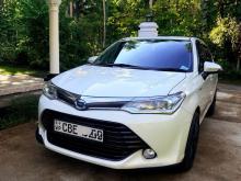 Toyota Axio G Grade 2016 Car