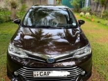 Toyota Axio G Grade 2015 Car