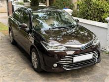 Toyota Axio G Grade 2015 Car
