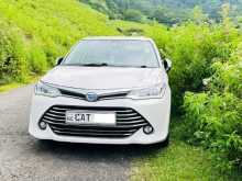 Toyota Axio G Grade 2016 Car
