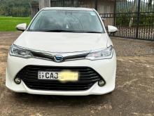 Toyota AXIO G 2015 Car