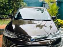 Toyota Axio G Safety 2015 Car