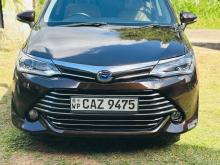 Toyota Axio G Grade 2015 Car