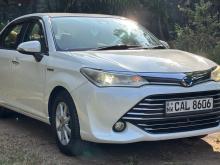 Toyota Axio G Grade 2015 Car