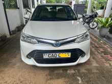 Toyota Axio G Limited DAA NKE165AxIO 2015 Car