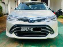 Toyota Axio G Grade 2015 Car