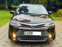 Toyota Axio G Grade Safety 2015 Car