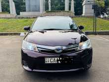 Toyota Axio G Grade 2014 Car