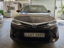 Toyota Axio G Grade 2016 Car