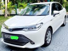 Toyota Axio G 2016 Car