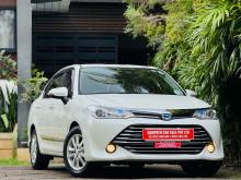 Toyota Axio G Grade 2015 Car