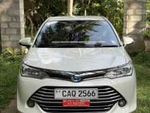 Toyota Axio G 2016 Car