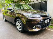 Toyota Axio G Grade 2015 Car