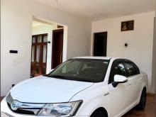 Toyota Axio G Grade 2013 Car