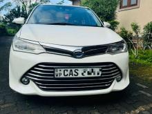 Toyota Axio G Grade Safety 2016 Car