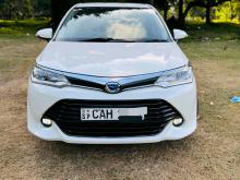 Toyota Axio G Safety 2015 Car