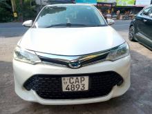 Toyota Axio G Grade 2015 Car
