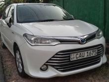 https://riyasewana.com/uploads/toyota-axio-hybrid-121717176895.jpg