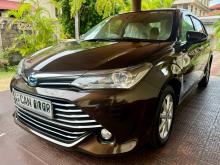 Toyota Axio 2015 Car