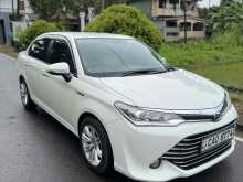 Toyota Axio 2015 Car
