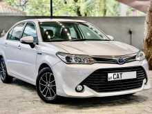 Toyota Axio Hybrid 2017 Car