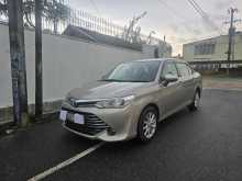 Toyota Axio 2015 Car