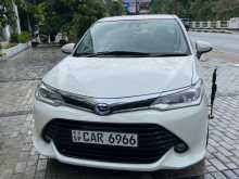 Toyota Axio G Grade 2015 Car