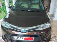 Toyota Axio 2015 Car