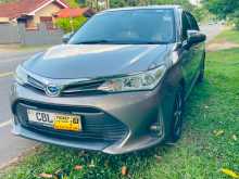Toyota Axio 2018 Car
