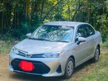 Toyota Axio 2019 Car