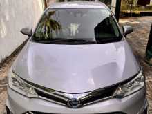 Toyota Axio 2015 Car