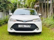 Toyota AXIO 2015 Car