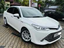 Toyota Axio 2015 Car