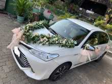 Toyota Axio 2016 Car