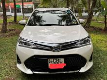 Toyota Axio Hybrid WXB 2019 Car