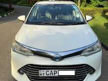 Toyota Axio 2015 Car