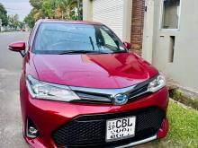Toyota Axio WXB 2019 Car