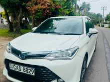 Toyota Axio 2016 Car