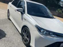 Toyota Axio 2017 Car