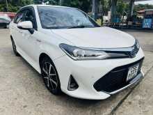 Toyota Axio Wxb 2018 Car