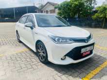 Toyota AXIO WXB 2017 Car