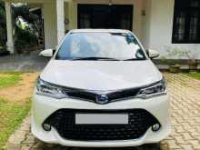 Toyota AXIO WXB 2017 Car