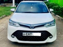 Toyota Axio WXB 2017 Car