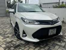 Toyota AXIO WXB 2019 Car