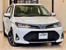 Toyota Axio WXB 2019 Car