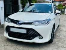 Toyota AXIO WXB 2017 Car