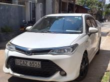 Toyota Axio WXB 2018 Car