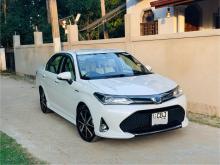 Toyota Axio WxB Ivory 2019 Car